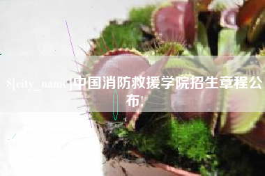 汉中中国消防救援学院招生章程公布!
