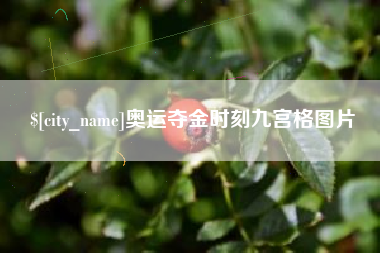 汉中奥运夺金时刻九宫格图片