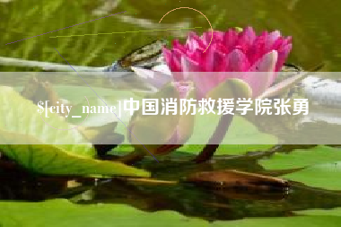汉中中国消防救援学院张勇