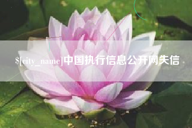 汉中中国执行信息公开网失信