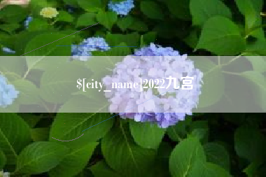 汉中2022九宫