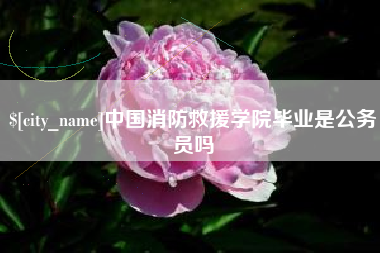 汉中中国消防救援学院毕业是公务员吗