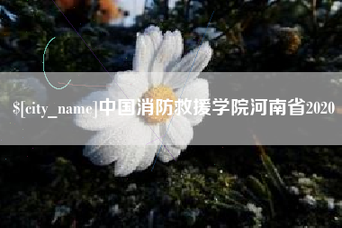 汉中中国消防救援学院河南省2020